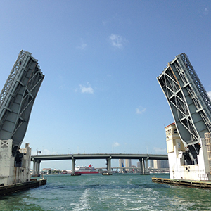 見所一杯の湾岸クルーズツアー